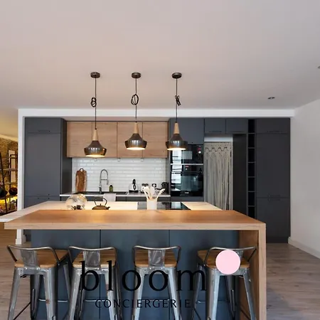 Apartment Loft De Standing Plein Coeur Nancy