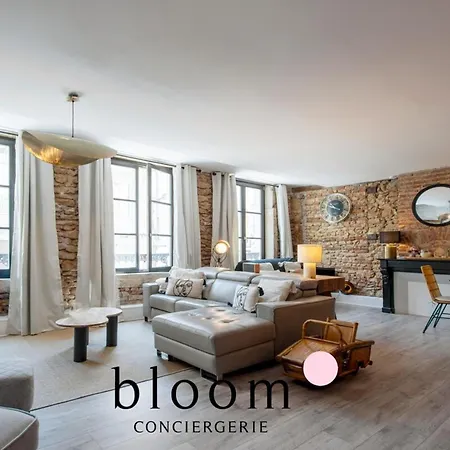 Apartment Loft De Standing Plein Coeur *