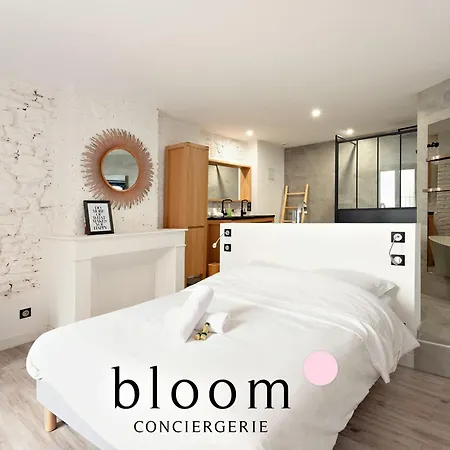 Loft De Standing Plein Coeur * Nancy