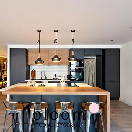 Apartment Loft De Standing Plein Coeur Nancy