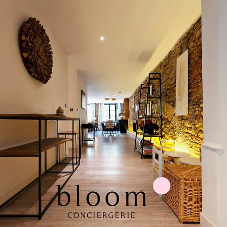 Loft De Standing Plein Coeur * Nancy